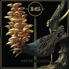 16 Dream Squasher (LP)