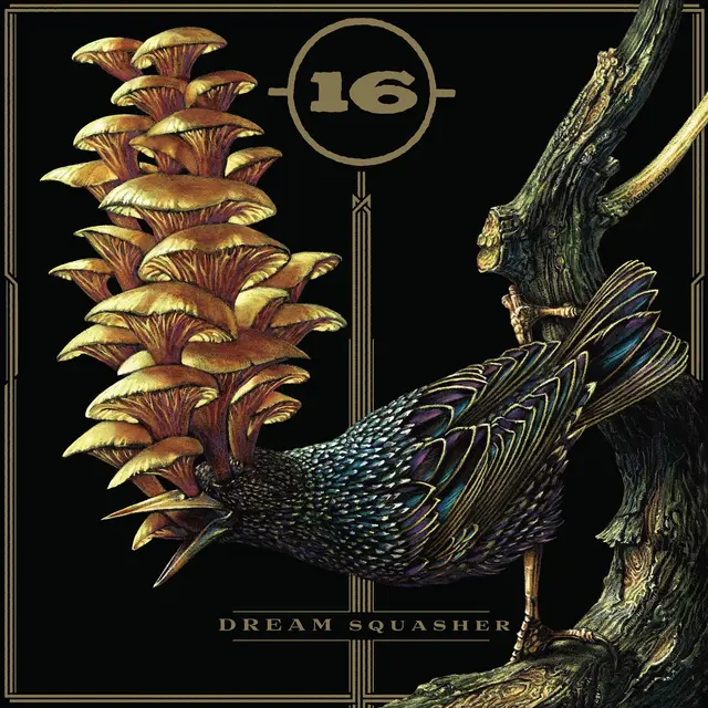 16 Dream Squasher (LP) 