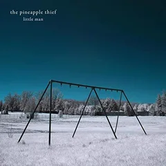 The Pineapple Thief Little Man (2LP)
