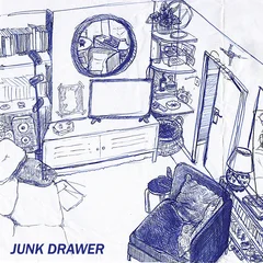 Junk Drawer Ready For The House (LP)