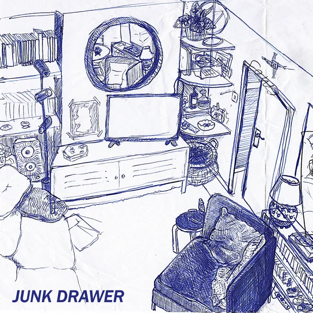 Junk Drawer Ready For The House (LP) 