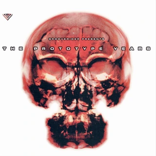 Grooverider Presents The Prototype… - LTD (2LP)