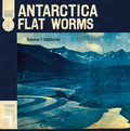 Flat Worms Antarctica (LP)