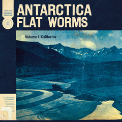 Flat Worms Antarctica (LP)