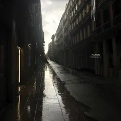 Fluxion Perspectives (2LP)