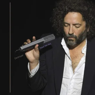 Destroyer Have We Me (LP)