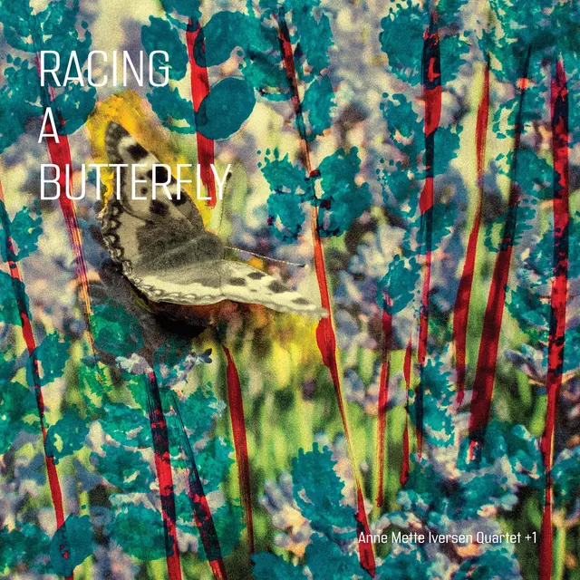 Anne Mette Iversen Quartet + 1 Racing A Butterfly (LP) 