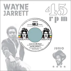 Wayne Jarret/Roots Radics Love In A Mi Heart / Blood On His Lips (