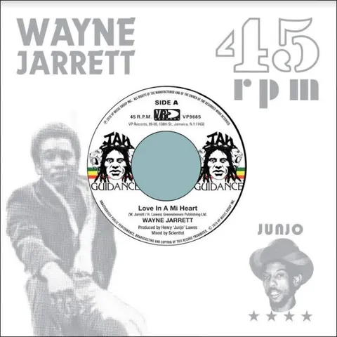 Wayne Jarret/Roots Radics Love In A Mi Heart / Blood On His Lips ( 