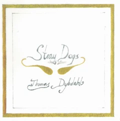 Thomas Dybdahl Stray Dogs (LP)