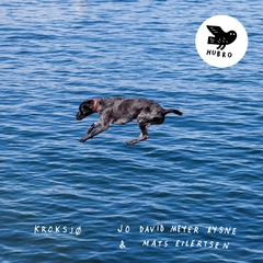 Jo David Meyer Lysne &amp; Mats Eilertsen Kroksjø (LP)