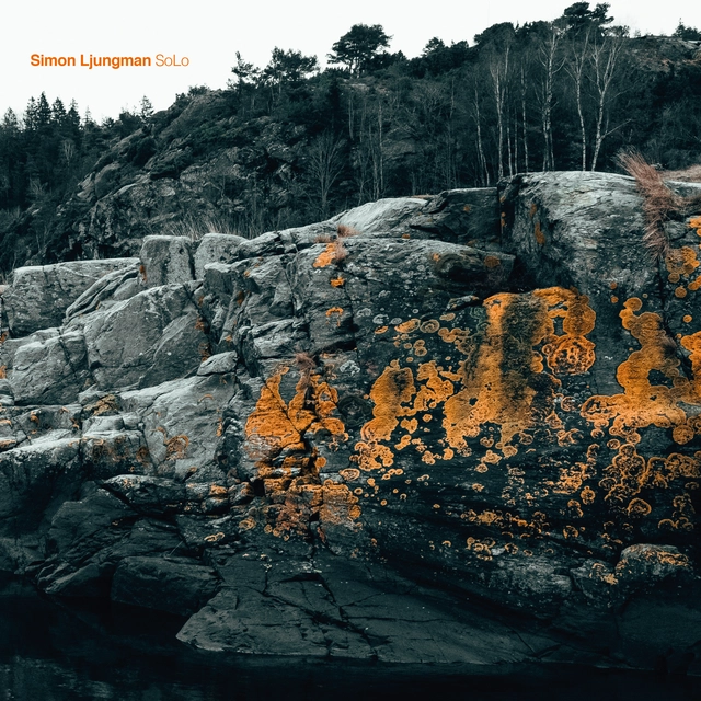 Simon Ljungman SoLo (LP) 