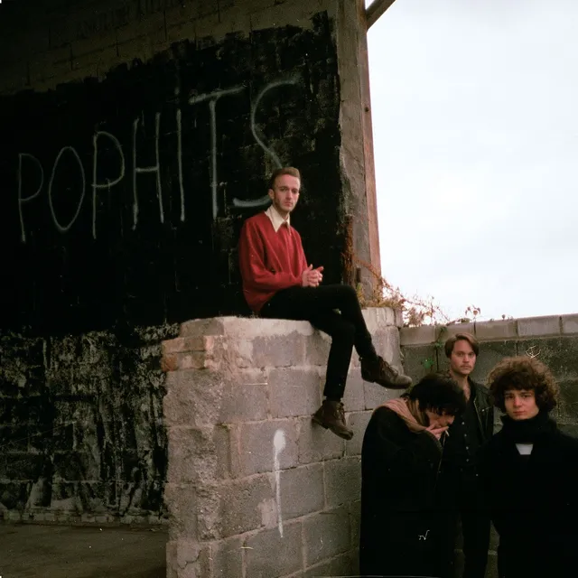 Mankind Pophits (LP) 
