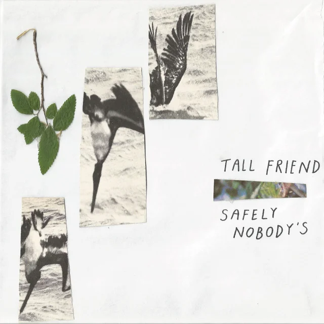 Tall Friend Safely Nobody's (LP) 
