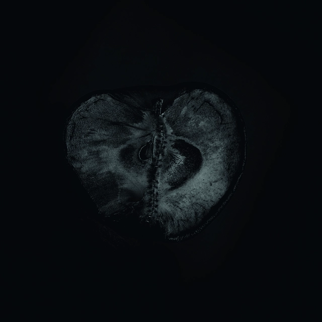 Treha Sektori & Sadon Symphony Of Dying (LP) 