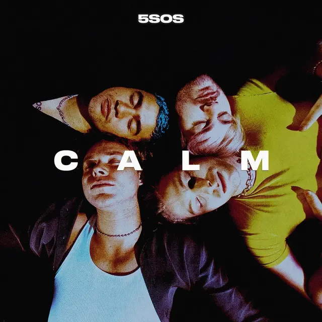 5 Seconds Of Summer Calm (LP) 