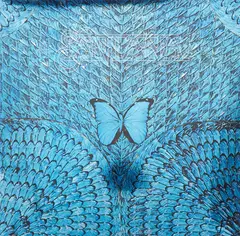 Santana Borboletta (LP)