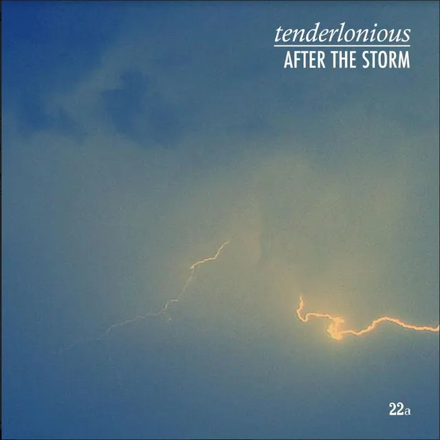 Tenderlonious After The Storm (12") 