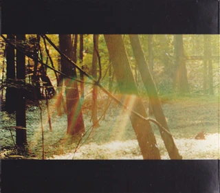 Childish Gambino Camp (2LP)