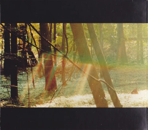 Childish Gambino Camp (2LP) 