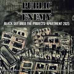 Public Enemy Black Sky Over The Projects… (LP)