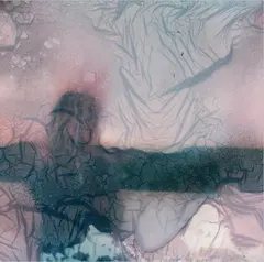 (0) Skamham (LP)