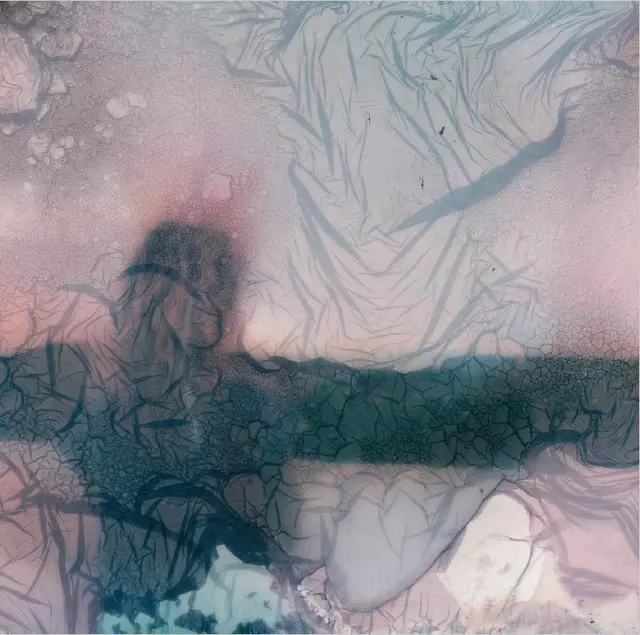 (0) Skamham (LP) 