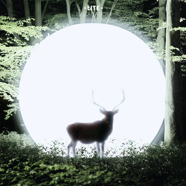 Lite Installation (LP) 