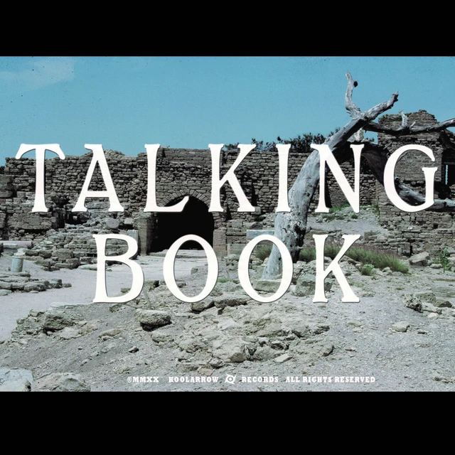 The Talking Book The Talking Book II - LTD (LP) 