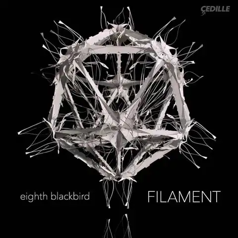 Eighth Blackbird Filament (LP) 