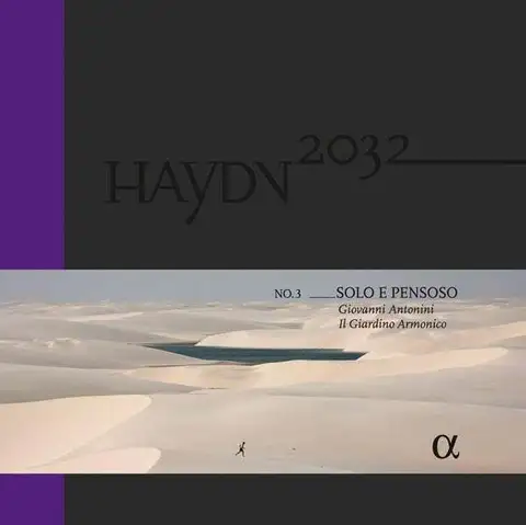 Il Giardino Armonico/Giovanni Antonini Haydn 2032: Vol. 3 Solo E Pensoso (LP) 