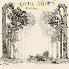 David Åhlén Hidden Light (LP)