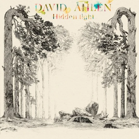 David Åhlén Hidden Light (LP) 