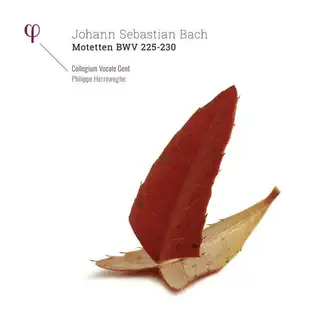 Collegium Vocale Gent/Philipp Herreweghe Bach: Motetten Bwv 225-230 (2LP)