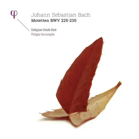 Collegium Vocale Gent/Philipp Herreweghe Bach: Motetten Bwv 225-230 (2LP) 