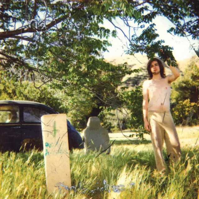 Ariel Pink Doldrums (2LP) 