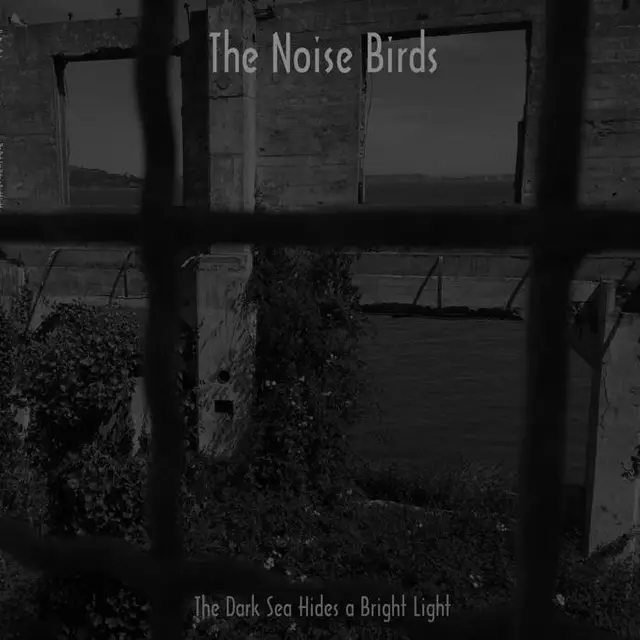 The Noise Birds The Dark Sea Hides A Bright Light (LP) 