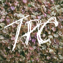 Tokyo Police Club TPC (2LP)