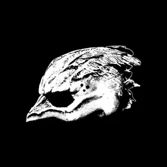 Legend Of The Seagullmen Legend Of The Seagullmen (LP)
