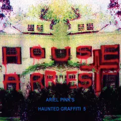 Ariel Pink House Arrest (2LP)