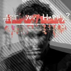Torbjörn Zetterberg &amp; Den Stora Frågan Are You Happy? (LP)