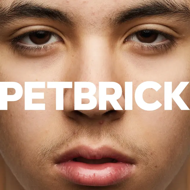 Petbrick I (LP) 