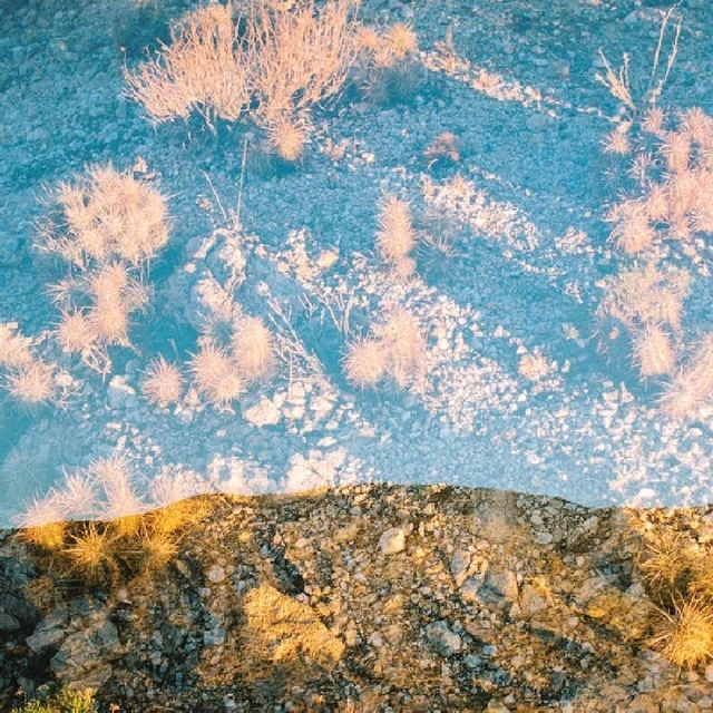 Moon Gangs Earth Loop (LP) 