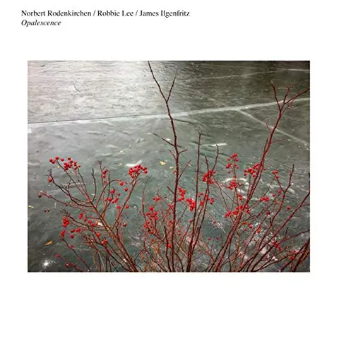 N. Rodenkirchen/R. Lee/J. Ilgenfritz Opalescence (LP) 