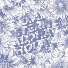 D.A. Stern Aloha Hola (LP)