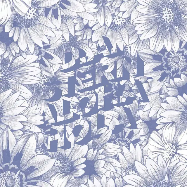 D.A. Stern Aloha Hola (LP) 