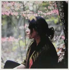 Kris Delmhorst Blood Test (LP)