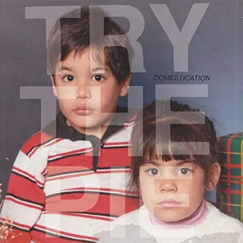 Try The Pie Domestication (LP) 