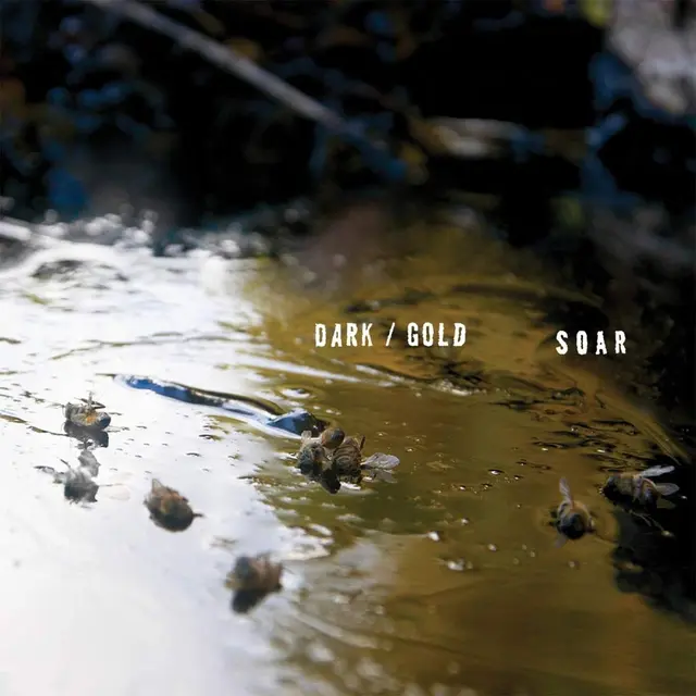 Soar Dark / Gold (LP) 