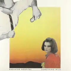 Radiator Hospital Something Wild (LP)